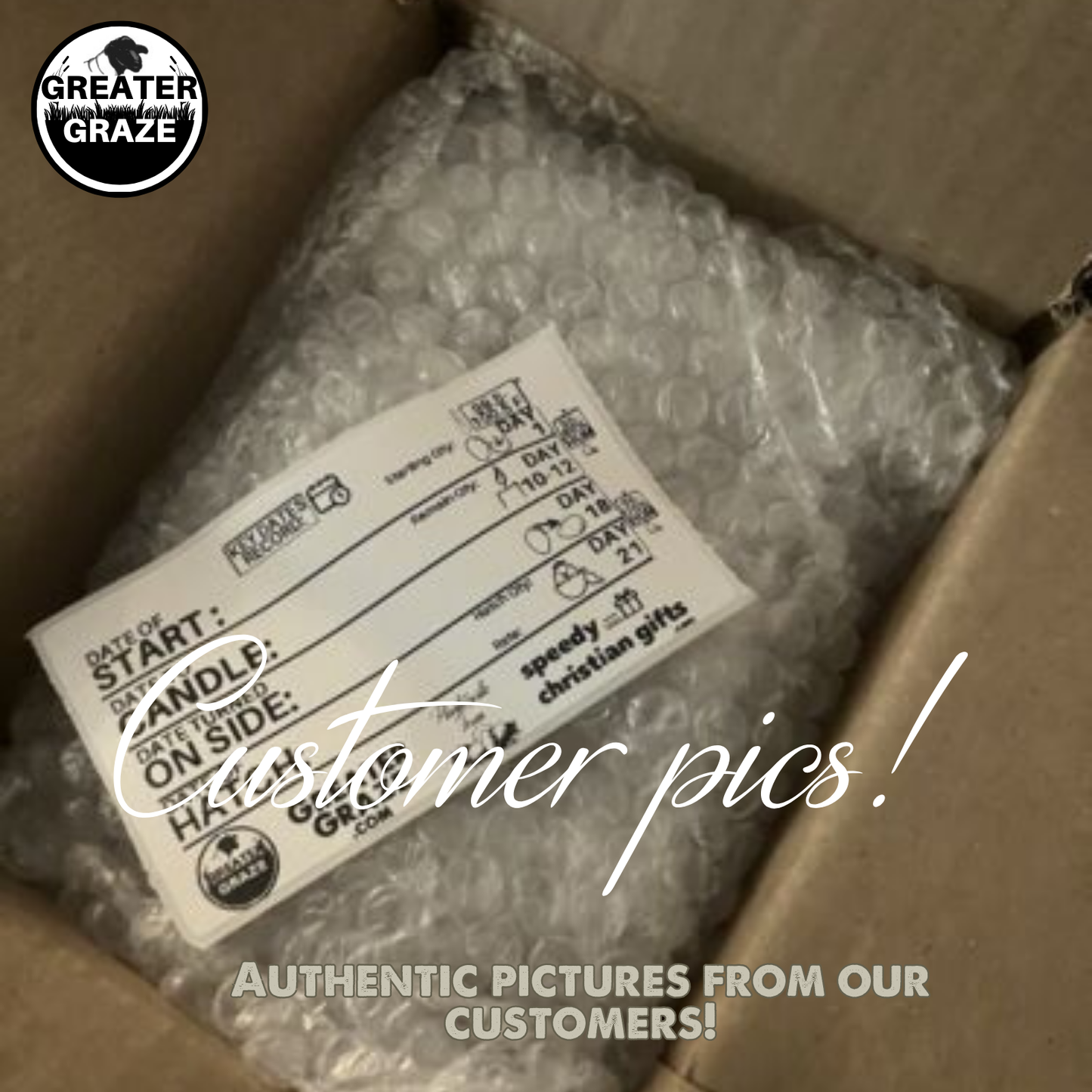 Rhode Island Red Fertile Hatching Eggs – Pre-Order Farm Fresh Free Range | Greater Graze™