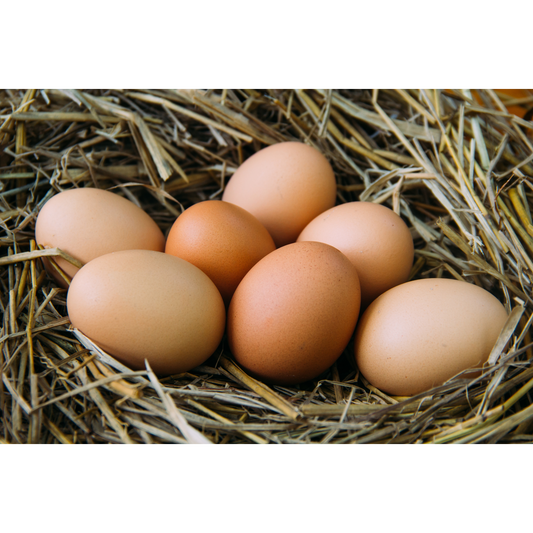 [4x/ 6x/ 12x] Ceramic Eggs